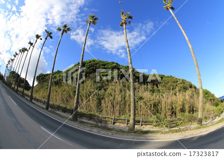 〜南國〜 17323817