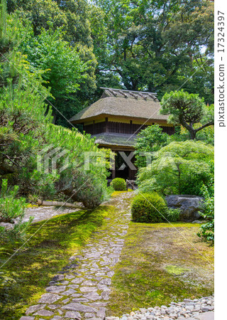 Yuchikoin Yuchikoin 17324397