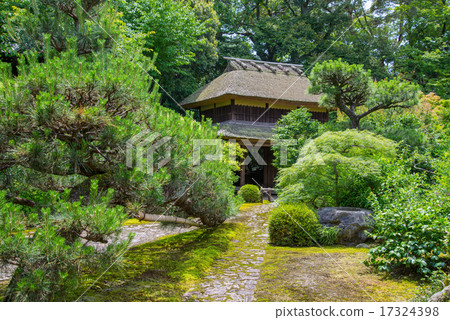 Yuchikoin Yuchikoin 17324398