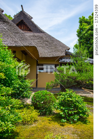 Yuchikoin Yuchikoin 17324399