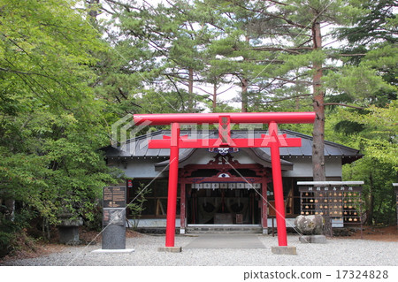 Shrine Embryo Shrine Embryo 17324828