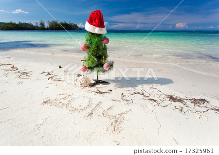 Summer New Year on beach 17325961