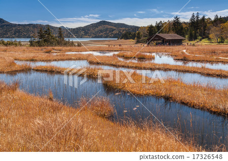 沼澤的Ikeda和草葉子在沼津 17326548