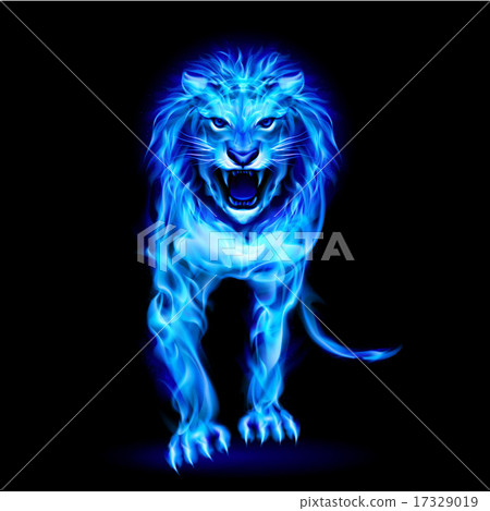 Blue fire lion 17329019
