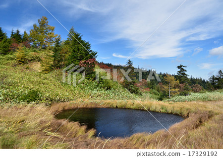 Ikutan Ikutan 17329192