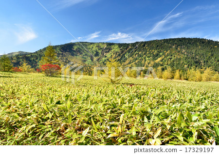 Fall of the plateau 17329197