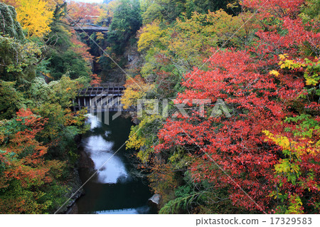 Yatsushi縣大城市Yatsugawa電站1號水橋和秋葉 Yatsushi縣大城市Yatsugawa電站1號水橋和秋葉 17329583