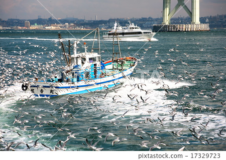 Ikanago fishing 17329723