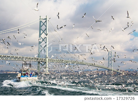 Ikanago釣魚 Ikanago釣魚 17329726