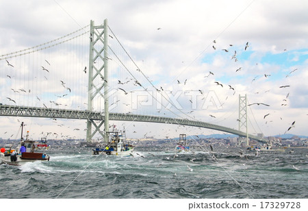 Ikanago釣魚 Ikanago釣魚 17329728