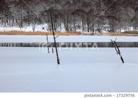 冬天的Tateshina女神湖畔 冬天的Tateshina女神湖畔 17329756