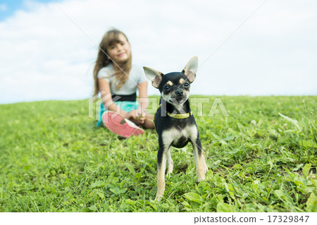 portrait of girl keeping pretty dog outdoor 17329847