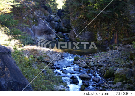 Shifuku Shikushu 17330360