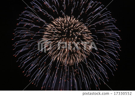 橫濱金澤節煙花節 17330552