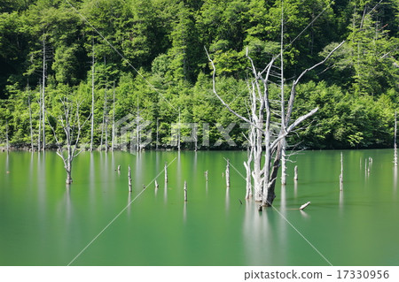 枯萎的天然湖泊 17330956