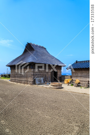 夏天諾托半島油煎的海灘鹽mander 夏天諾托半島油煎的海灘鹽mander 17333588