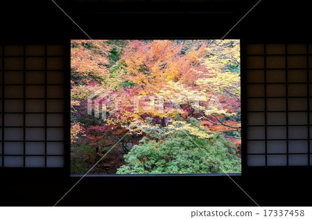 Shoji和秋葉 17337458