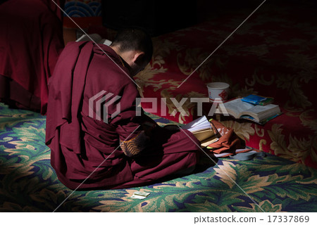 人Larnunggarpa 17337869