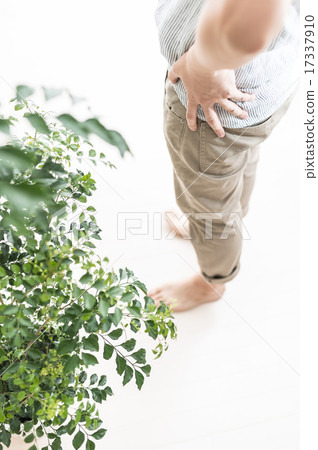 Male lifestyle 17337910