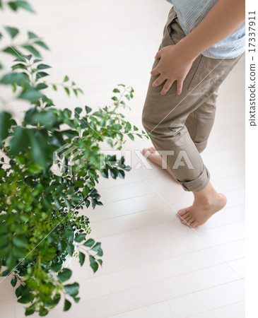 Male lifestyle 17337911