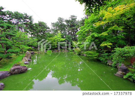 新潟白山公園 17337978