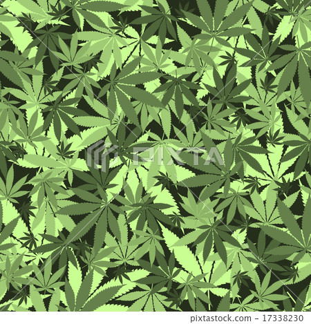 Seamless cannabis pattern 17338230