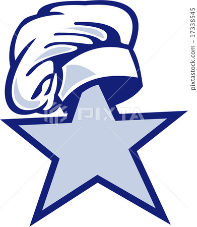 Star Chef Hat Retro 17338545