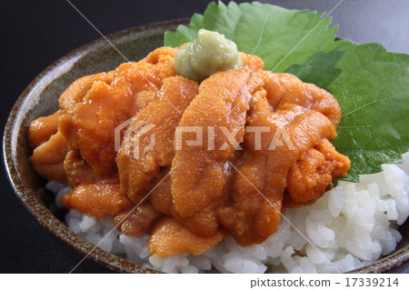 Sea-bowl with boniton Sea-bowl with boniton 17339214