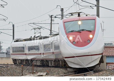 Snow rabbit Original gakutaka Dynastar 17342449