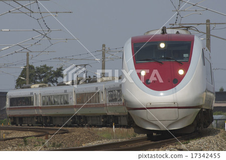 Snow rabbit gakutaka 17342455