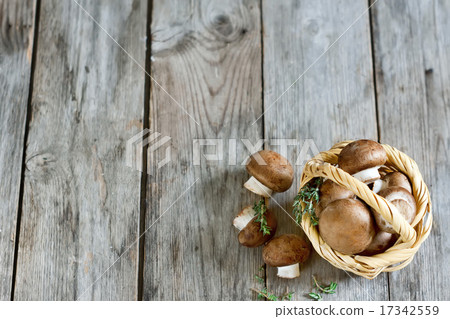 Mushrooms in basket background Mushrooms in basket background 17342559