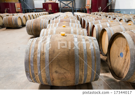 Wine cellar 17344017