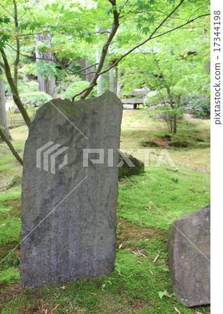Yen visit Yen visit 17344198