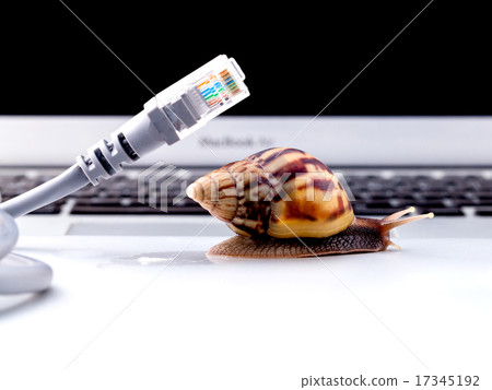 Snail with rj45 connector symbolic photo 17345192