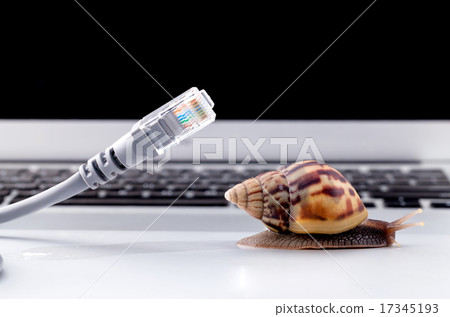 Snail with rj45 connector symbolic photo 17345193