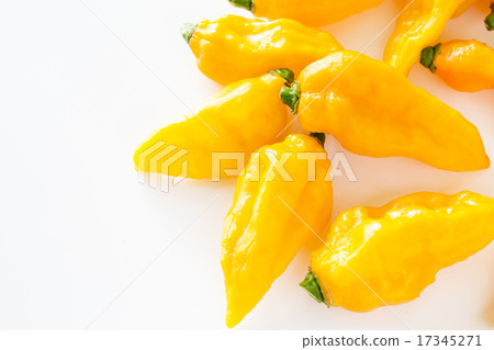 Lots of Yellow boot Joroquia Lots of Yellow boot Joroquia 17345271