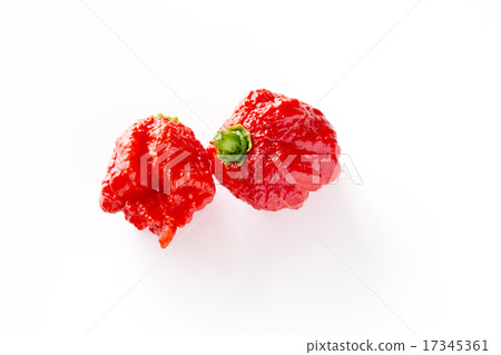 Guinness Certified Pepper Carolina Reaper 17345361