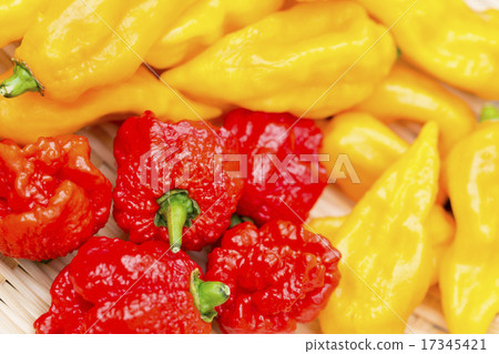 Guinness Certified Pepper Carolina Reaper and Boot Joloquia Guinness Certified Pepper Carolina Reaper and Boot Joloquia 17345421