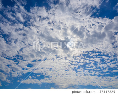 羊雲 羊雲 17347825