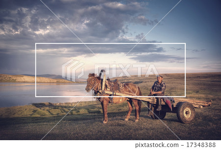 Horse Man Sitting On A Horse Cart In A Scenic View Of Nature Horse Man Sitting On A Horse Cart In A Scenic View Of Nature 17348388