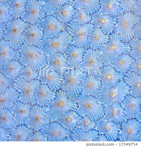 Blue frosted glass texture Blue frosted glass texture 17349754