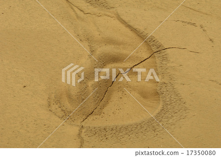 abstract abstract 17350080