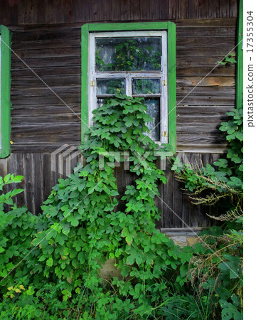leaves grew i house leaves grew i house 17355304