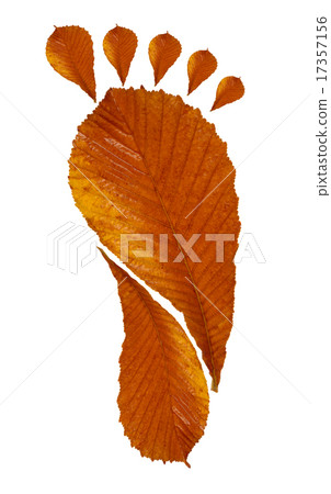 Foot Print Foot Print 17357156
