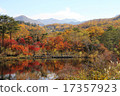 Wrapped in autumn leaves 17357923