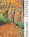 A promenade of autumn leaves 17357926