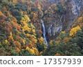 Autumn leaves of Sukumaki 17357939