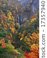 Yuqing waterfall wrapped in autumn leaves 17357940