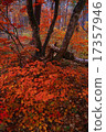 The end of autumn Shiga Kogen 17357946