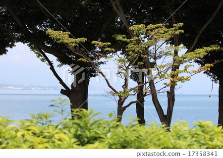 Summer resort 17358341